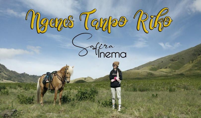 Cover Album lagu Chord Lagu Safira Inemai - Ngenes Tanpo Riko